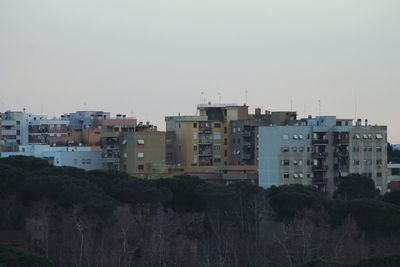 Buildings in city