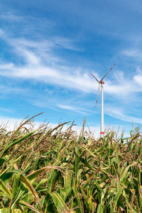 Wind turbines on field against sky