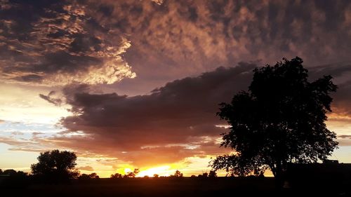 Low angle view of silhouette trees against sky during sunset