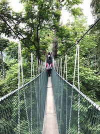 Man on footbridge amidst trees