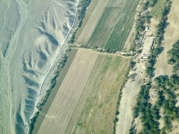 High angle view of agricultural field