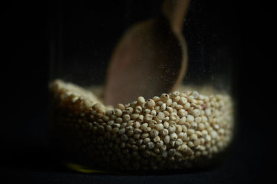 Close-up of soybean with spoon in jar