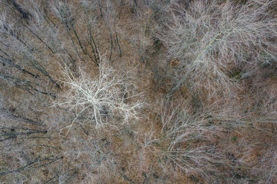 Full frame shot of snow covered land