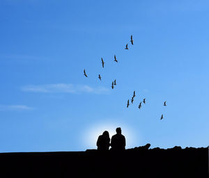 Low angle view of silhouette birds flying against blue sky