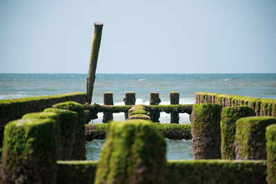 Scenic view of sea against clear sky