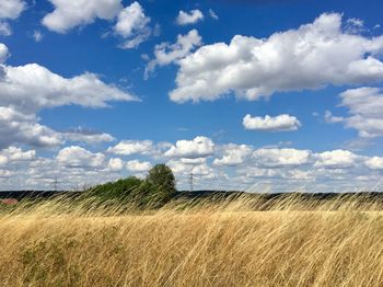 Scenic view of field against sky