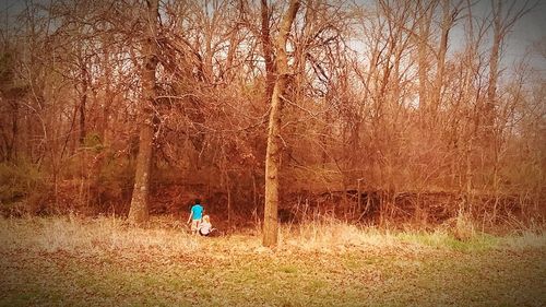 Rear view of woman walking on field in forest