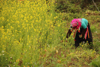 Full length of woman working in flowers farm