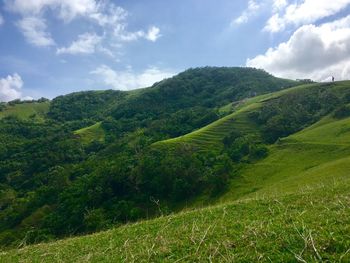 Scenic view of green landscape against sky