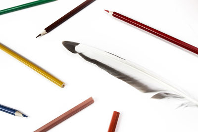 High angle view of colored pencils against white background