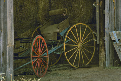 Horse cart