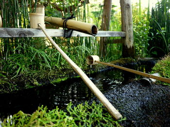 Close-up of water fountain