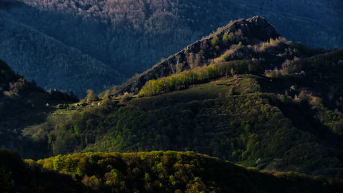 Scenic view of trees and mountains