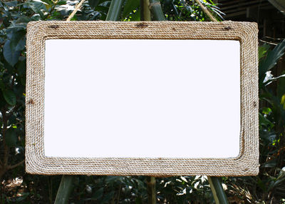 picture frame