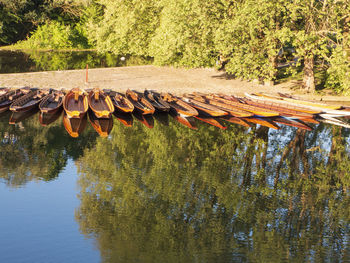 Scenic view of lake in forest