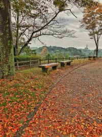 Scenic view of landscape against sky during autumn