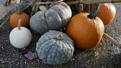 Close-up of pumpkins on autumn leaves