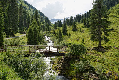 Scenic view of trees and mountains against sky