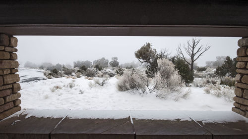 Snow covered trees against sky seen through window