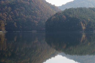 Scenic view of lake by forest against clear sky