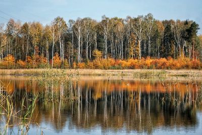 Reflection of trees in lake against sky