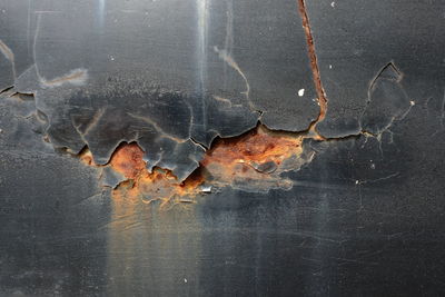 High angle view of dry leaves on table