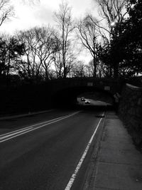 Empty road along bare trees