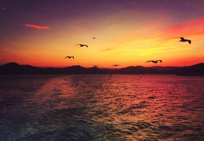 Scenic view of sea during sunset