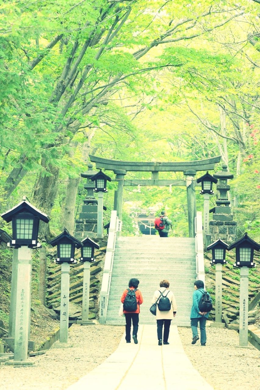 tree, men, person, rear view, lifestyles, leisure activity, walking, bench, full length, sitting, built structure, day, green color, park - man made space, the way forward, chair, architecture, sunlight