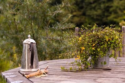 Kettle by stick and potted plant on wooden table