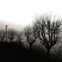 Silhouette of bare tree against clear sky