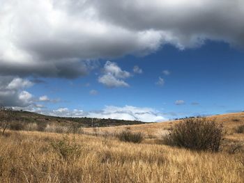 Scenic view of field against sky