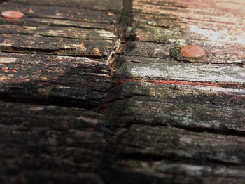 Close-up of wooden plank