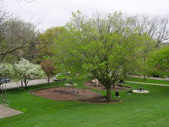 Scenic view of grassy field in park