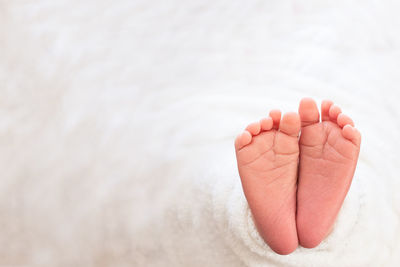 Low section of baby feet