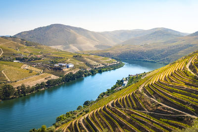 Landscape in the vineyards in douro river portugal