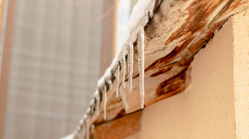 Close-up of wooden wall