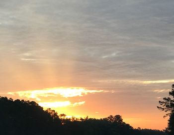 Silhouette trees against sky during sunset