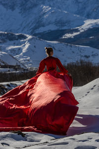 Rear view of man standing on snowcapped mountain