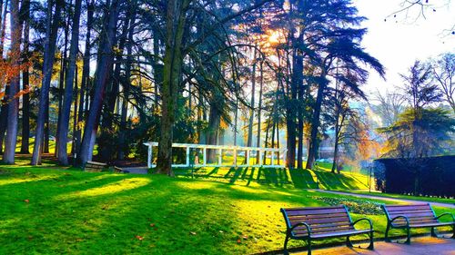 Empty bench in park