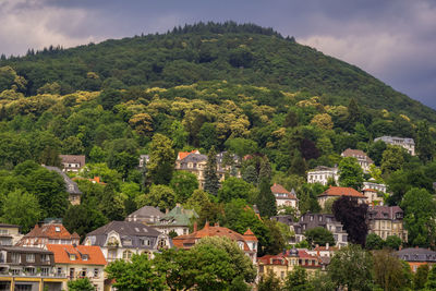 High angle view of trees and buildings in town