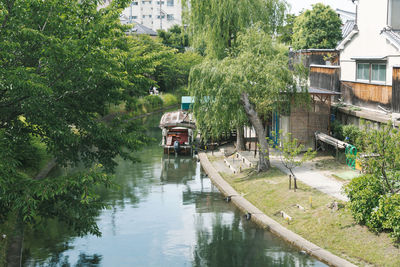 House by river amidst trees and plants