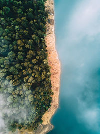 High angle view of lake by trees