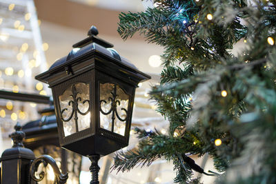 Close-up of christmas tree