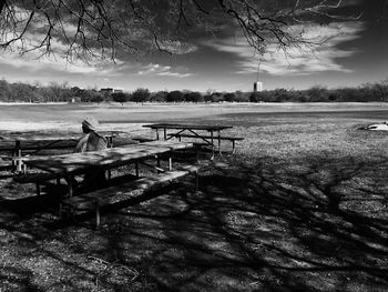 Bare trees on landscape