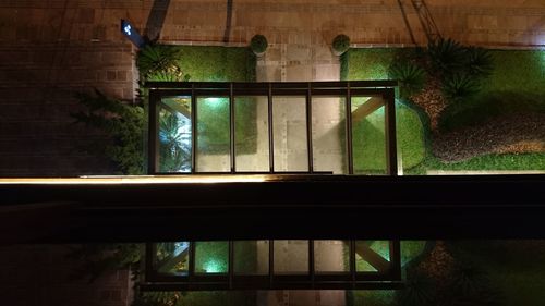 Plants seen through window of house