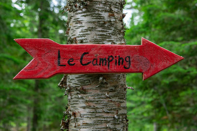 Close-up of red sign on tree trunk in forest