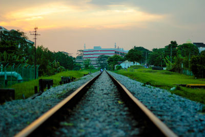 Railroad track amidst trees against sky