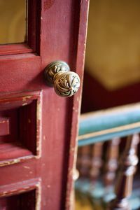 Close-up of snail on wooden door