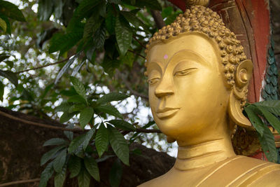 Close-up of buddha statue against trees